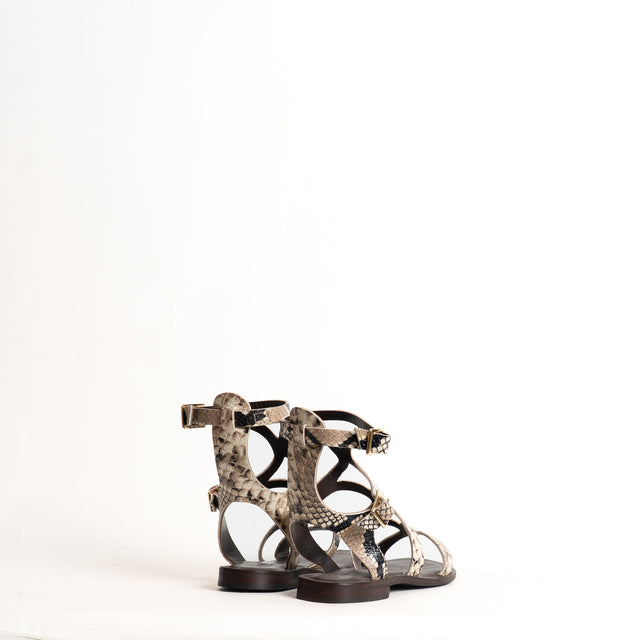 Divine Follie-Sandalo gladiatore stampa pitonata - beige/nero