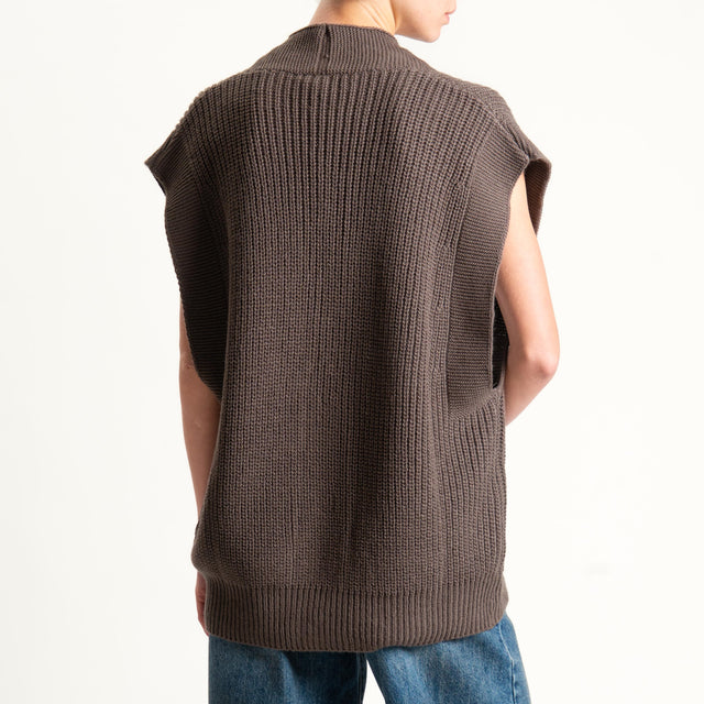 Haveone-Gilet over coste inglesi - tortora