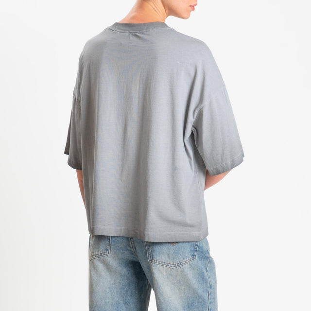 Haveone-T-shirt stampa aquila stone washed - grigio