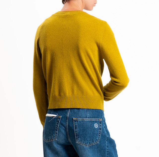 In-Cardigan tension 100% SOFT WOOL - oil