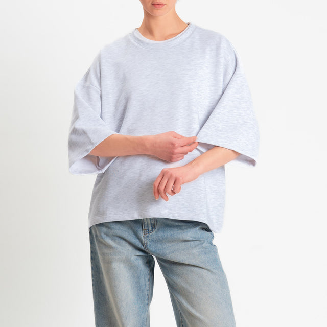 Zeroassoluto-Felpa scatola manica 3/4 stone wash high quality - light grey