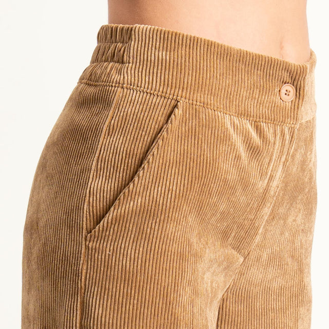 Zeroassoluto- Pantalone ANDY velluto 500 righe - camel