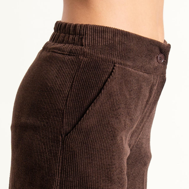 Zeroassoluto- Pantalone ANDY velluto 500 righe - moro