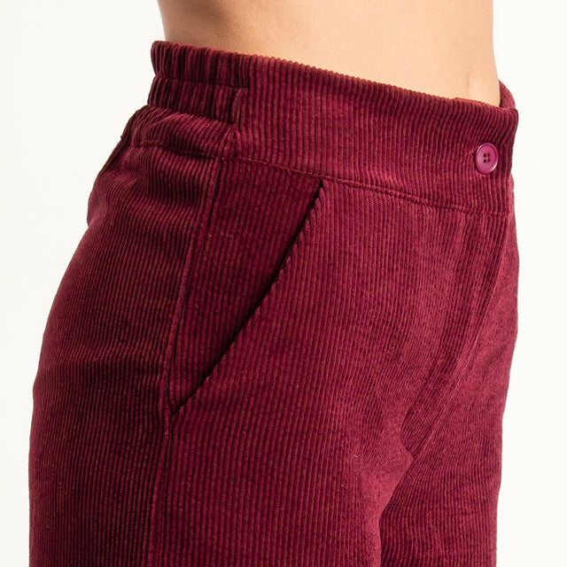 Zeroassoluto- Pantalone ANDY velluto 500 righe - vino