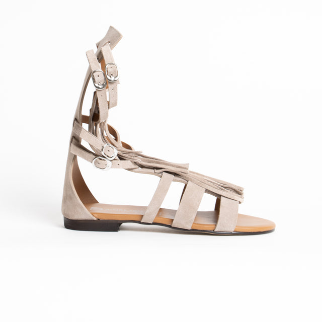Divine Follie-Sandalo gladiatore in pelle scamosciata - taupe