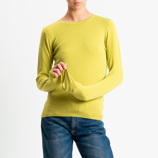 Vicolo-Maglia girocollo bordi a coste - olio