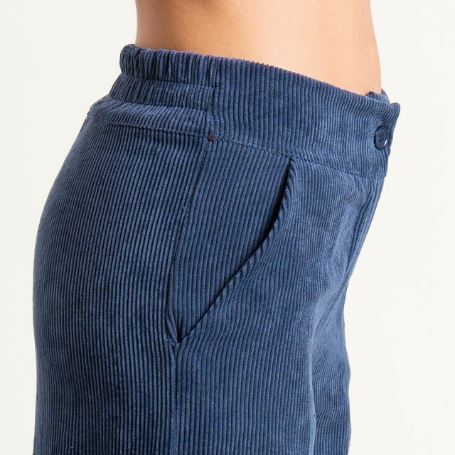Zeroassoluto- Pantalone ANDY velluto 500 righe - blu