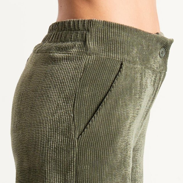 Zeroassoluto- Pantalone ANDY velluto 500 righe - militare