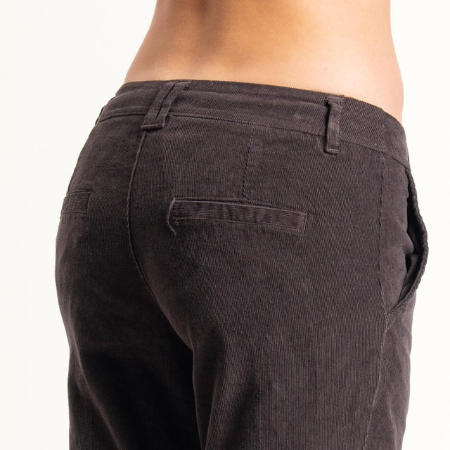 Zeroassoluto-Pantalone LOIS chino velluto millerighe - moro